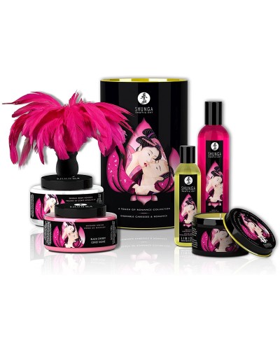 Подарочный набор Shunga Romance Cosmetic Kit