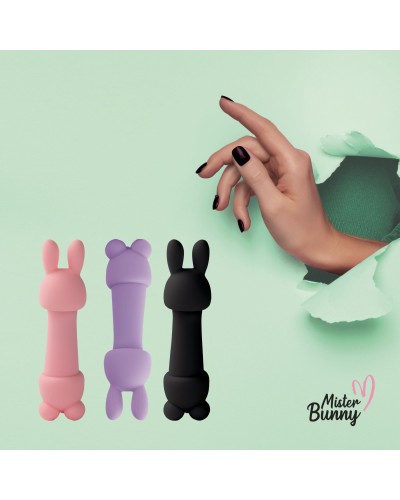 Міні-вібратор FeelzToys Magic Bunny Purple з двома насадками