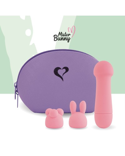 Міні-вібратор FeelzToys Mister Bunny Pink з двома насадками